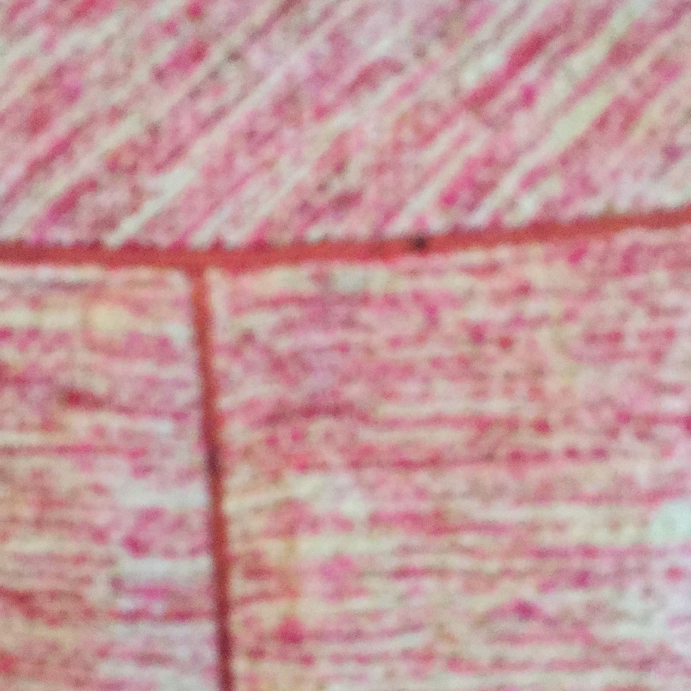 Ann Taylor Silk Pink Tweed Skirt - Picture 4 of 5